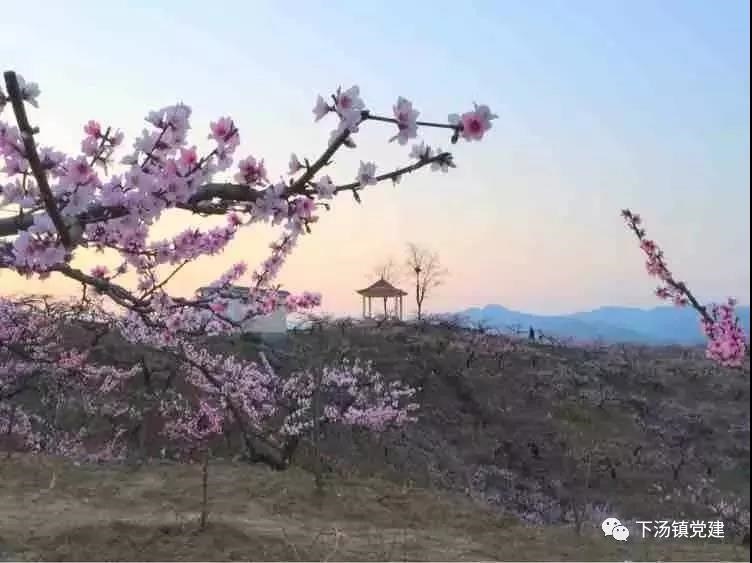 /upload/bbs/2019/03/27/c64200a2-936b-4296-86cc-558f91cd2401.jpg /upload/bbs/2019/03/27/c64200a2-936b-4296-86cc-558f91cd2401.jpg