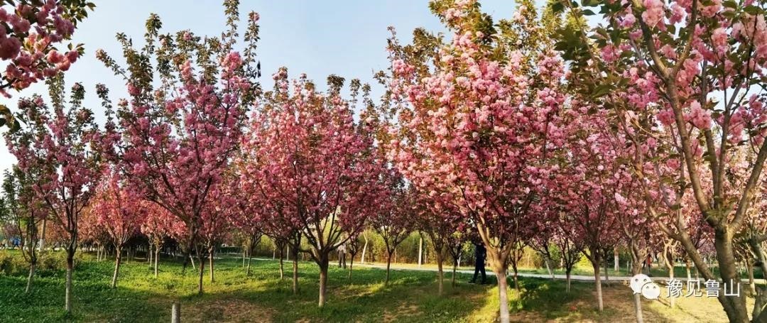 /upload/bbs/2019/04/08/64e439a4-c132-48e1-bf8f-ed2e97c1cb67.jpg /upload/bbs/2019/04/08/64e439a4-c132-48e1-bf8f-ed2e97c1cb67.jpg