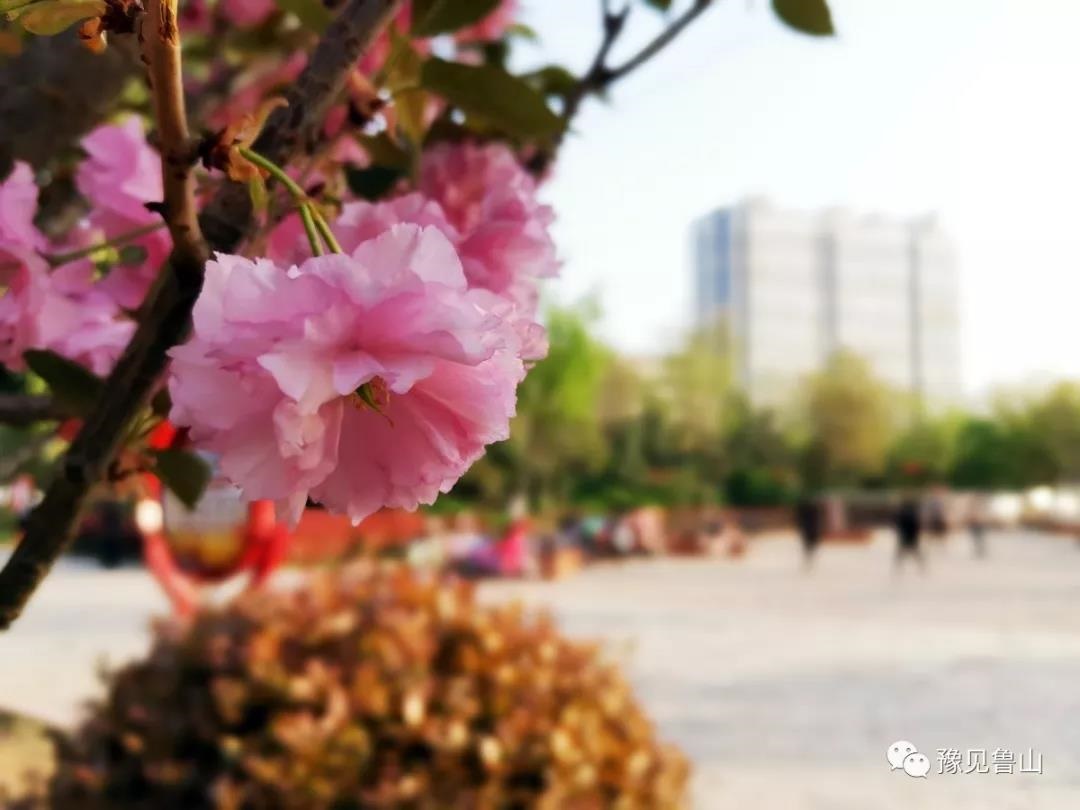 /upload/bbs/2019/04/08/6609c733-9eab-4c49-b4de-89de0bb6eccc.jpg /upload/bbs/2019/04/08/6609c733-9eab-4c49-b4de-89de0bb6eccc.jpg