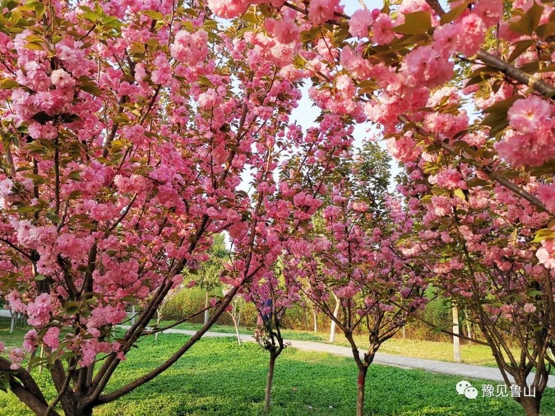 /upload/bbs/2019/04/08/6f4f2841-9bcb-4fe9-a4fa-71801805a675.jpg /upload/bbs/2019/04/08/6f4f2841-9bcb-4fe9-a4fa-71801805a675.jpg