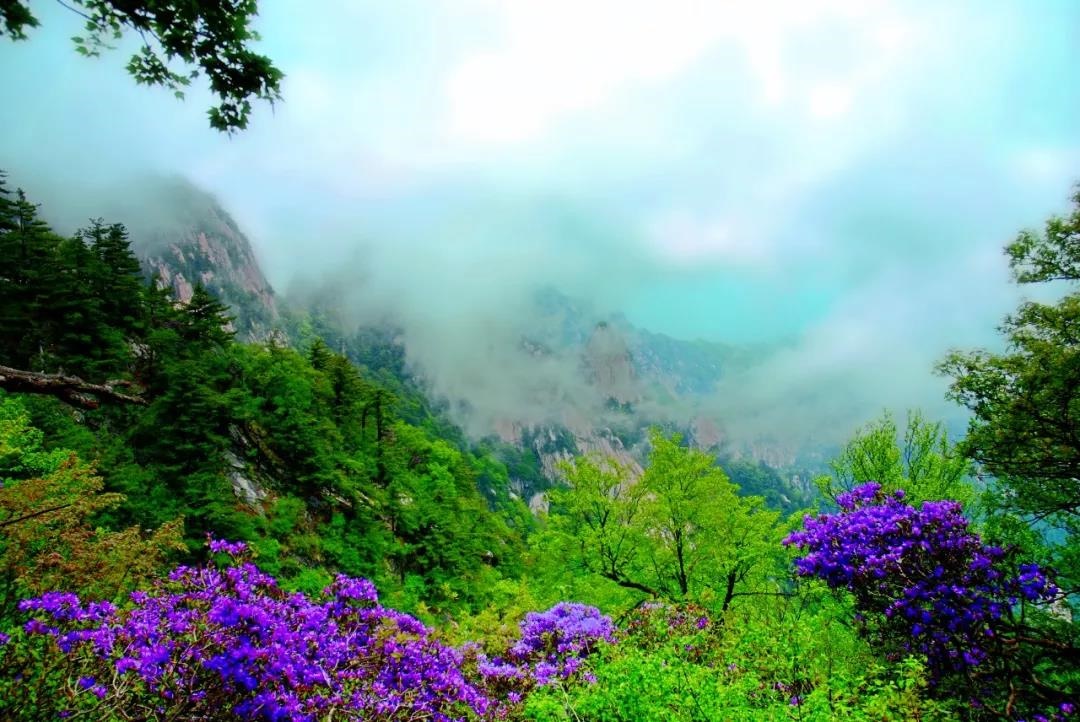 /upload/bbs/2019/04/08/cfb6d512-18c6-4dd8-b9d6-dd3fe6a61703.jpg /upload/bbs/2019/04/08/cfb6d512-18c6-4dd8-b9d6-dd3fe6a61703.jpg