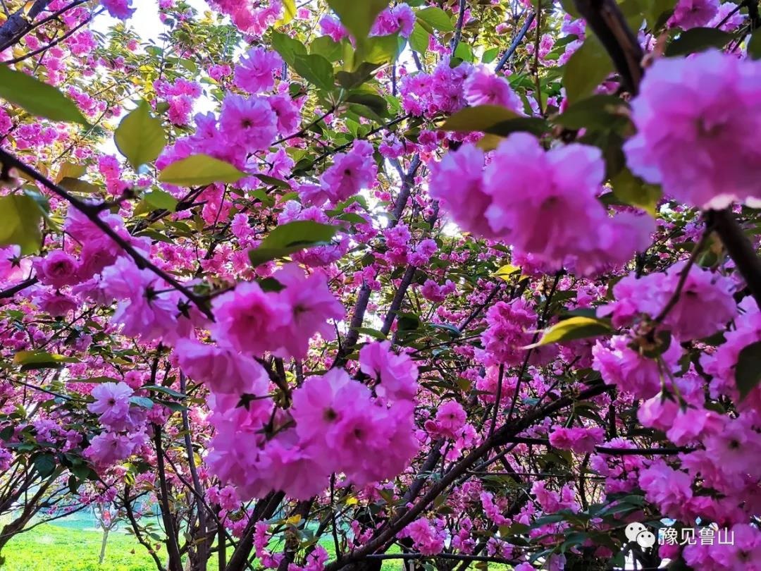 /upload/bbs/2019/04/08/ec457868-834d-4569-b98d-f6d503a80e3c.jpg /upload/bbs/2019/04/08/ec457868-834d-4569-b98d-f6d503a80e3c.jpg