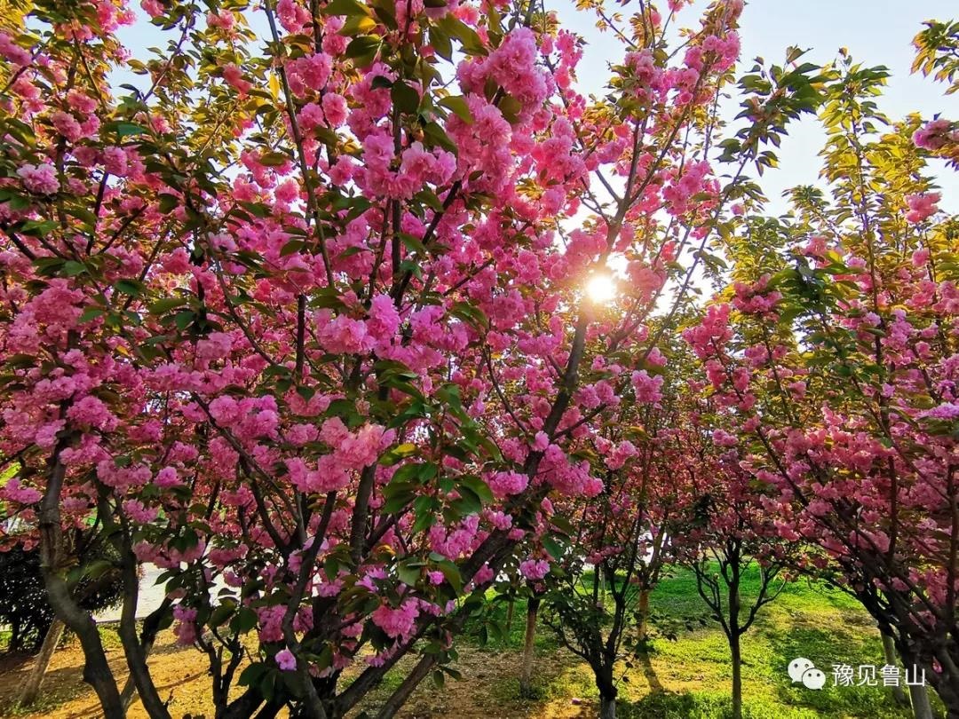 /upload/bbs/2019/04/08/f3d5e578-2b13-433f-b200-156f9edd9544.jpg /upload/bbs/2019/04/08/f3d5e578-2b13-433f-b200-156f9edd9544.jpg