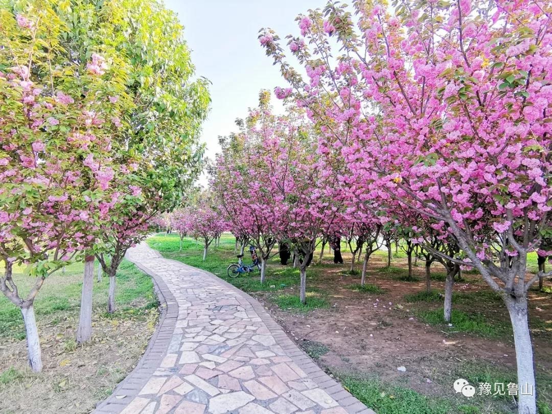 /upload/bbs/2019/04/08/f985515f-9690-416b-85ef-2628df1d7474.jpg /upload/bbs/2019/04/08/f985515f-9690-416b-85ef-2628df1d7474.jpg