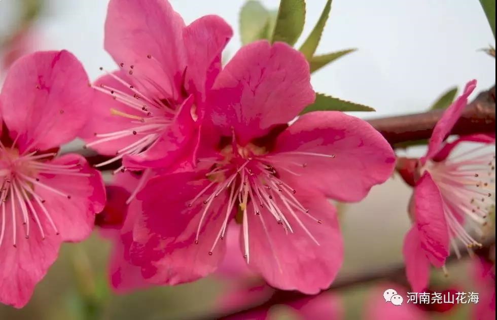 /upload/bbs/2019/04/12/17656d52-65a6-43d0-9fce-2ae065fc777a.jpg /upload/bbs/2019/04/12/17656d52-65a6-43d0-9fce-2ae065fc777a.jpg