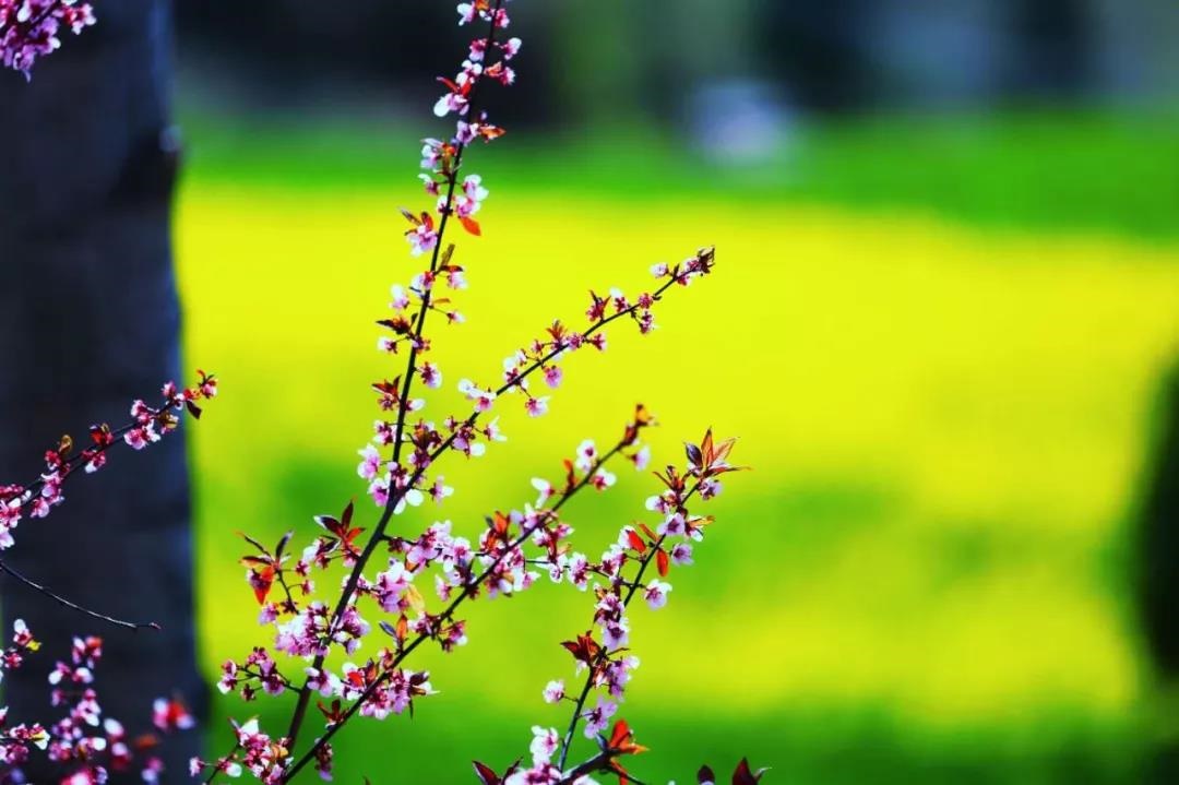 /upload/bbs/2019/04/12/5ecb4030-2a63-455a-b5da-662deac67d16.jpg /upload/bbs/2019/04/12/5ecb4030-2a63-455a-b5da-662deac67d16.jpg