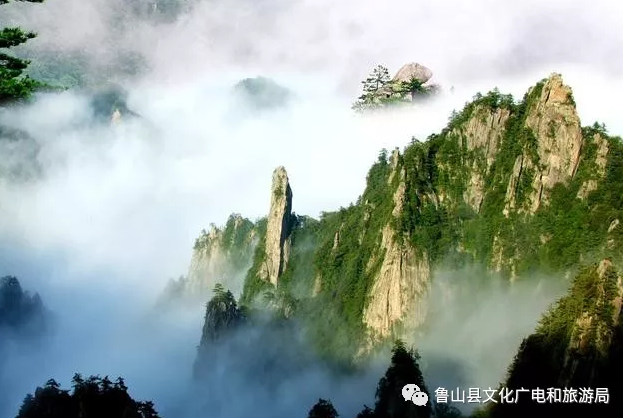 /upload/bbs/2019/09/08/9c431a9a-d6de-4256-b43d-6eb02f60cca6.png /upload/bbs/2019/09/08/9c431a9a-d6de-4256-b43d-6eb02f60cca6.png