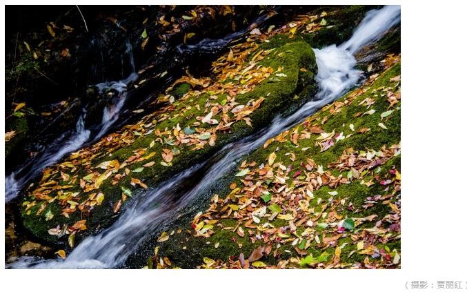 /upload/bbs/2019/10/18/e1036c9e-b8e2-4ab5-ae37-4e28a7e4f4ed.jpg /upload/bbs/2019/10/18/e1036c9e-b8e2-4ab5-ae37-4e28a7e4f4ed.jpg