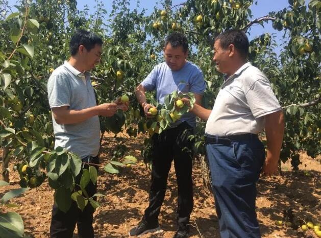 /upload/bbs/2020/06/15/d9f6c159-1b38-42c7-ac4b-2923265bd33b.jpg /upload/bbs/2020/06/15/d9f6c159-1b38-42c7-ac4b-2923265bd33b.jpg