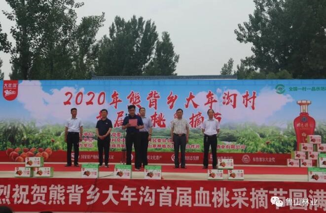 /upload/bbs/2020/06/21/592962c8-c2dd-46d4-847c-738f1f749150.jpg /upload/bbs/2020/06/21/592962c8-c2dd-46d4-847c-738f1f749150.jpg