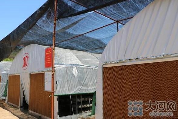 /upload/bbs/2020/07/03/c1cb5337-75d5-42de-980c-cf4403a0faf7.jpg /upload/bbs/2020/07/03/c1cb5337-75d5-42de-980c-cf4403a0faf7.jpg