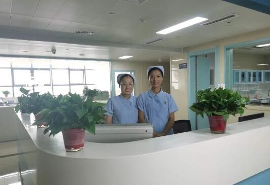 /upload/bbs/2020/12/13/65728bd4-012e-44eb-92a8-fc04003da158.jpg /upload/bbs/2020/12/13/65728bd4-012e-44eb-92a8-fc04003da158.jpg