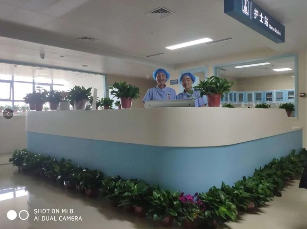 /upload/bbs/2020/12/13/fd069f1e-06c1-4df2-a60e-17b83d41d8c9.jpg /upload/bbs/2020/12/13/fd069f1e-06c1-4df2-a60e-17b83d41d8c9.jpg