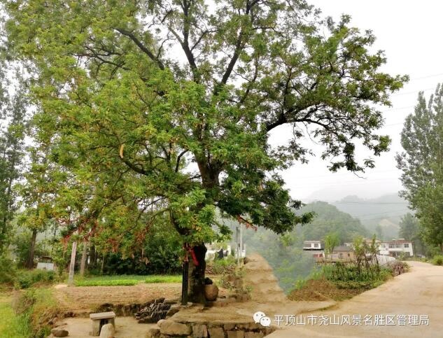 /upload/bbs/2021/08/09/030d3f5b-639a-4140-9dad-6fb3fbef066c.jpg /upload/bbs/2021/08/09/030d3f5b-639a-4140-9dad-6fb3fbef066c.jpg