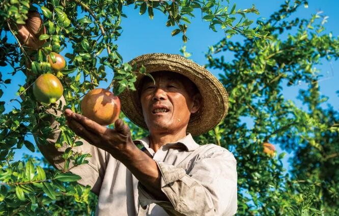 /upload/bbs/2021/08/11/447cbb36-8096-478a-9545-97853a538a21.jpg /upload/bbs/2021/08/11/447cbb36-8096-478a-9545-97853a538a21.jpg