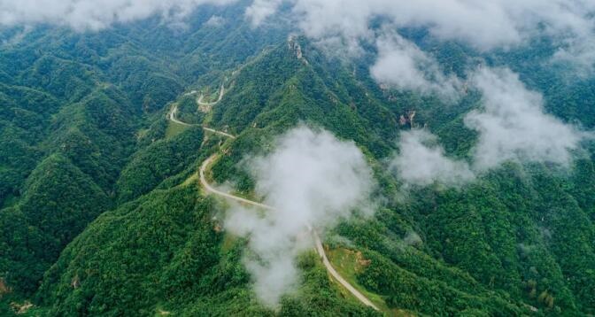 /upload/bbs/2021/08/11/793065f3-894a-4bff-a84a-f6a5b8befedd.jpg /upload/bbs/2021/08/11/793065f3-894a-4bff-a84a-f6a5b8befedd.jpg