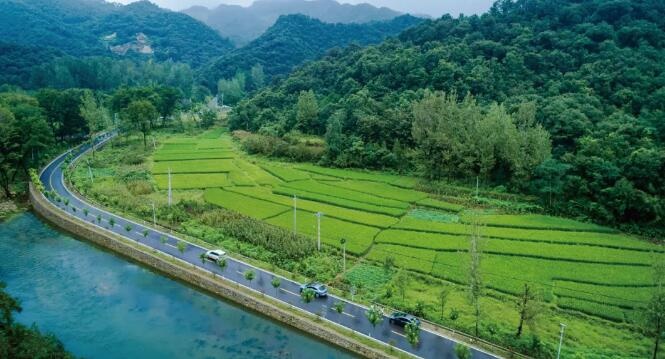 /upload/bbs/2021/08/11/dd2a9fae-8a43-4c4e-963e-0d8bec404095.jpg /upload/bbs/2021/08/11/dd2a9fae-8a43-4c4e-963e-0d8bec404095.jpg