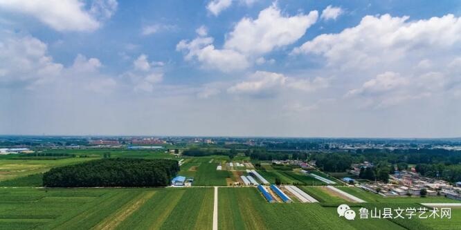 /upload/bbs/2021/08/15/91232a81-8d11-466f-bb90-0a4d2a9cf9a6.jpg /upload/bbs/2021/08/15/91232a81-8d11-466f-bb90-0a4d2a9cf9a6.jpg