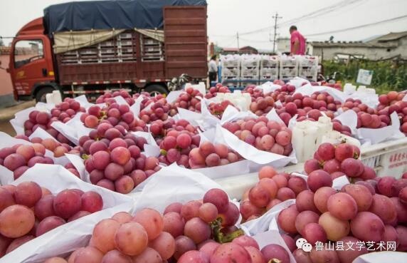 /upload/bbs/2021/08/15/bde3816f-eab5-493e-9ab2-786d9972cc37.jpg /upload/bbs/2021/08/15/bde3816f-eab5-493e-9ab2-786d9972cc37.jpg