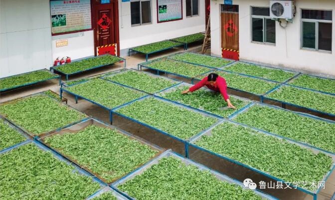 /upload/bbs/2021/08/15/c751b182-85b5-4512-ae27-4fb6f7594290.jpg /upload/bbs/2021/08/15/c751b182-85b5-4512-ae27-4fb6f7594290.jpg