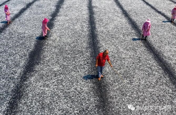 /upload/bbs/2021/08/15/deafd487-8926-4607-81f8-9b2f1229add7.jpg /upload/bbs/2021/08/15/deafd487-8926-4607-81f8-9b2f1229add7.jpg