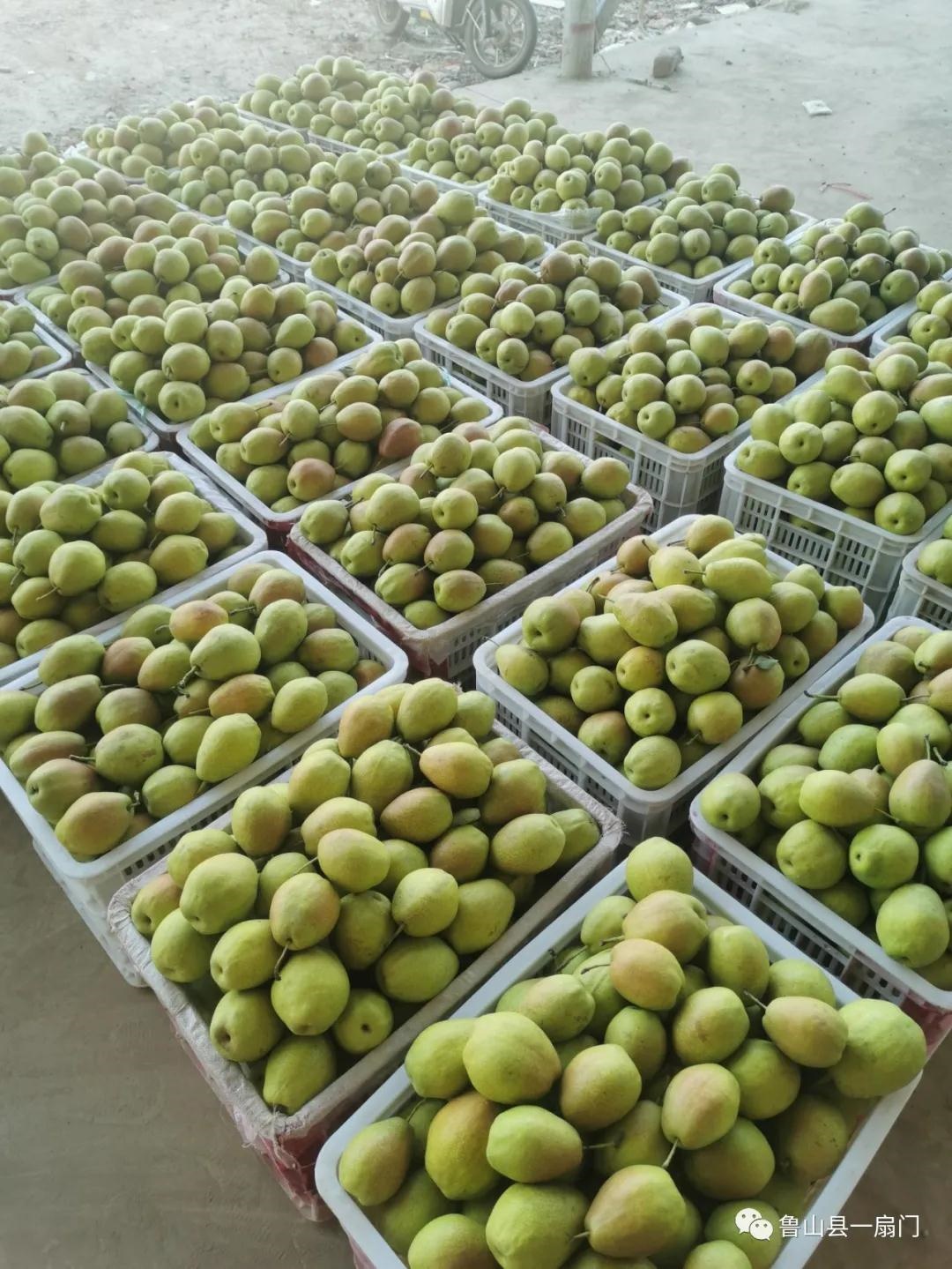 /upload/bbs/2021/08/17/4fbbe76a-e9bf-4e75-b76f-28c3b09ccbbf.jpg /upload/bbs/2021/08/17/4fbbe76a-e9bf-4e75-b76f-28c3b09ccbbf.jpg