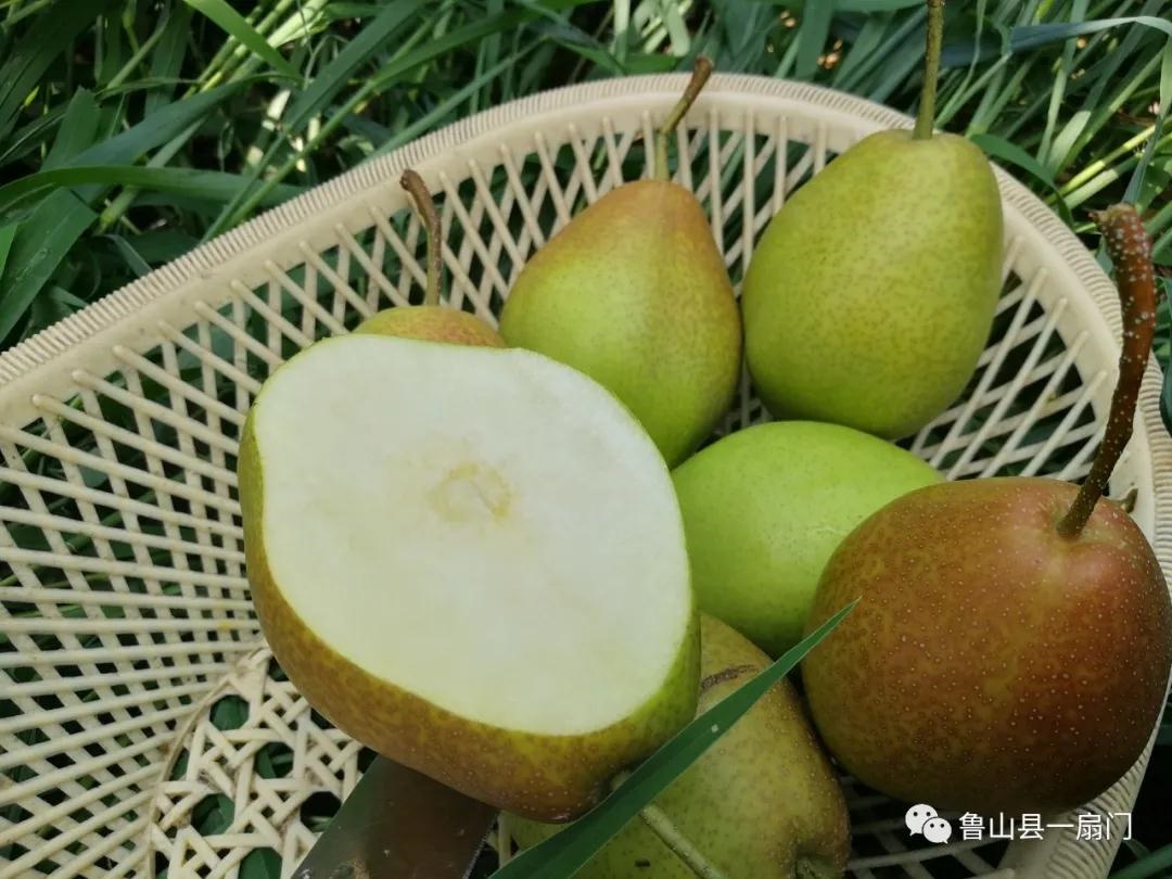 /upload/bbs/2021/08/17/f3e26c3e-0717-47c6-9ec2-a2134d0c060a.jpg /upload/bbs/2021/08/17/f3e26c3e-0717-47c6-9ec2-a2134d0c060a.jpg